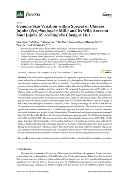 Genome Size Variation Within Species of Chinese Jujube (Ziziphus Jujuba Mill.) and Its Wild Ancestor Sour Jujube (Z