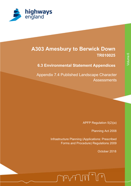 A303 Amesbury to Berwick Down TR010025