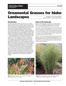 Ornamental Grasses for Idaho Landscapes