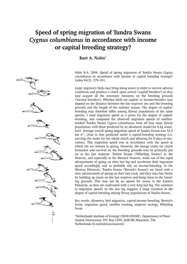 Speed of Spring Migration of Tundra Swans Cygnus Columbianus in Accordance with Income Or Capital Breeding Strategy?