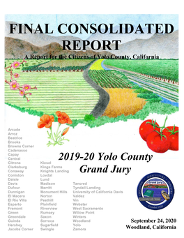 The 2019-20 Grand Jury Report