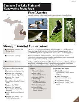 Saginaw Bay Lake Plain and Headwaters Focus Area Focal Species Mallard, Bobolink, Lake Sturgeon and Eastern Prairie Fringed Orchid Jim Hudgins, USFWS Robert H