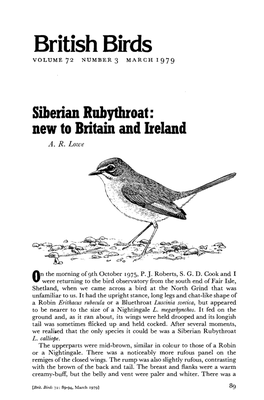 Siberian Ruby Throat: New to Britain and Ireland A