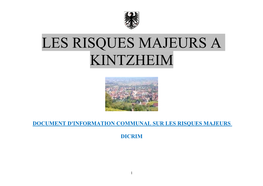 Les Risques Majeurs a Kintzheim