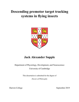 Descending Premotor Target Tracking Systems in Flying Insects