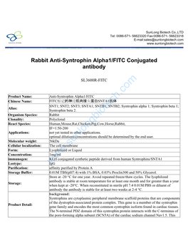 Rabbit Anti-Syntrophin Alpha1/FITC Conjugated Antibody