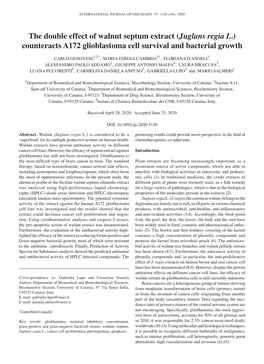 Juglans Regia L.) Counteracts A172 Glioblastoma Cell Survival and Bacterial Growth