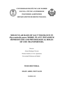 MOLECULAR BASIS of SALT TOLERANCE in Physcomitrella Patens MODEL PLANT: POTASSIUM HOMEOSTASIS and PHYSIOLOGICAL ROLES of CHX TRANSPORTERS