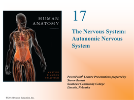 Autonomic Nervous System