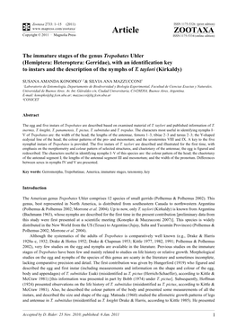 The Immature Stages of the Genus Trepobates Uhler (Hemiptera: Heteroptera: Gerridae), with an Identification Key to Instars and the Description of the Nymphs of T