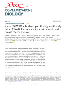 Kaiso (ZBTB33) Subcellular Partitioning Functionally Links LC3A/B, the Tumor Microenvironment, and Breast Cancer Survival