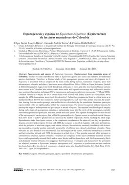 Esporogénesis Y Esporas De Equisetum Bogotense (Equisetaceae) De Las Áreas Montañosas De Colombia