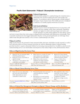 Riparian 89 Pacific Giant Salamander / Púfpuuf / Dicamptodon Tenebrosus Cultural Importance Life Cycle & Habitat