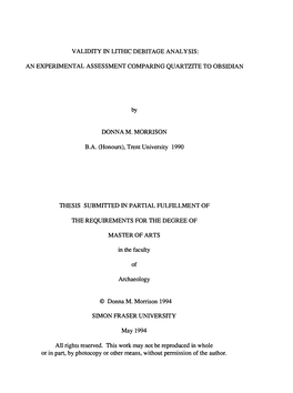 Validity in Lithic Debitage Analysis