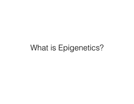 What Is Epigenetics? Two Views in Embryology