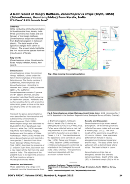 A New Record of Hoogly Halfbeak, Zenarchopterus Striga (Blyth, 1858) (Beloniformes, Hemiramphidae) from Kerala, India K.V