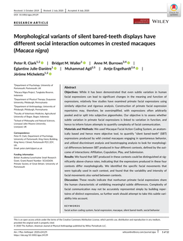 Morphological Variants of Silent Bared‐Teeth Displays Have Different Social