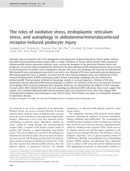 The Roles of Oxidative Stress, Endoplasmic Reticulum Stress, and Autophagy in Aldosterone&Sol;Mineralocorticoid Receptor-Ind