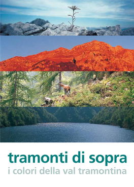 Tramonti Di Sopra