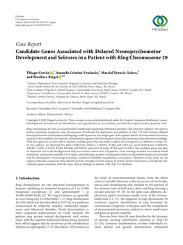 Candidate Genes Associated with Delayed Neuropsychomotor Development and Seizures in a Patient with Ring Chromosome 20