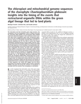 The Chloroplast and Mitochondrial Genome Sequences of The