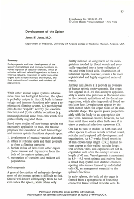 Development of the Spleen