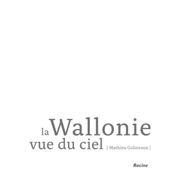 Vue Du Ciel | Mathieu Golinvaux | Sommaire