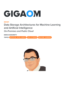 Data Storage Architectures for Machine Learning and Artificial Intelligence On-Premises and Public Cloud