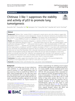 Chitinase 3 Like 1 Suppresses the Stability and Activity of P53 To