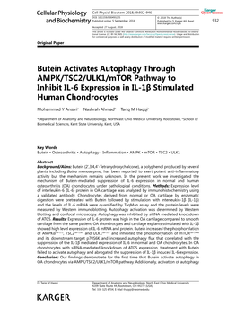 Butein Activates Autophagy Through AMPK/TSC2/ULK1/Mtor Pathway to Inhibit IL-6 Expression in IL-1Β Stimulated Human Chondrocytes