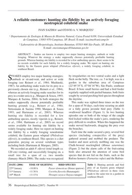 Hunting Site Fidelity by an Actively Foraging Neotropical Colubrid Snake