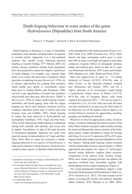 Death-Feigning Behaviour in Water Snakes of the Genus Hydrodynastes (Dipsadidae) from South America