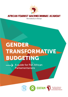 GENDER TRANSFORMATIVE BUDGETING a Guide for Pan African Parliamentarians © FEMNET 2019