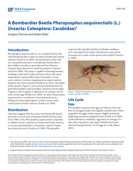 A Bombardier Beetle Pheropsophus Aequinoctialis (L.) (Insecta: Coleoptera: Carabidae)1 Gregory Parrow and Adam Dale2