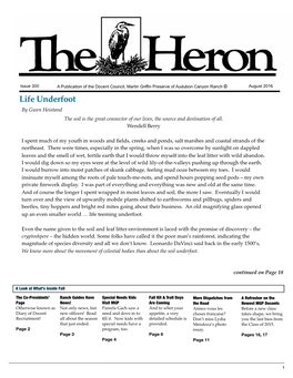 Heron August 2016 Issue 300 (Old Pages)