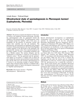 Ultrastructural Study of Spermatogenesis in Phoronopsis Harmeri (Lophophorata, Phoronida)