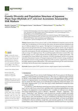 Genetic Diversity and Population Structure of Japanese Plum-Type (Hybrids of P. Salicina) Accessions Assessed by SSR Markers