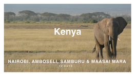 Kenya 12 Day Safari Itinerary Nairobi, Amboseli, Samburu, Masai Mara