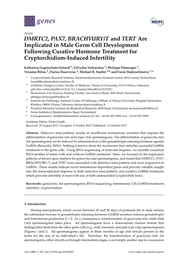 DMRTC2, PAX7, BRACHYURY/T and TERT Are Implicated in Male Germ Cell Development Following Curative Hormone Treatment for Cryptorchidism-Induced Infertility