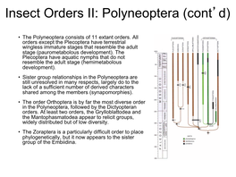 Insect Orders II: Polyneoptera (Cont'd)