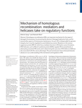 Mechanism of Homologous Recombination: Mediators and Helicases Take on Regulatory Functions