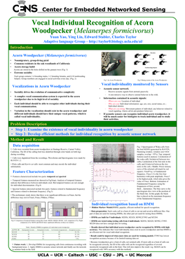 Vocal Individual Recognition of Acorn Woodpecker (Melanerpes