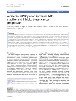 Α-Catenin Sumoylation Increases Iκbα Stability and Inhibits Breast Cancer