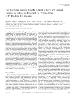 Fast Rhythmic Bursting Can Be Induced in Layer 2/3 Cortical Neurons by Enhancing Persistent Naϩ Conductance Or by Blocking BK Channels