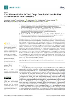 Zinc Biofortification in Food Crops Could Alleviate the Zinc