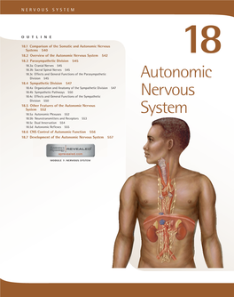 Autonomic Nervous System