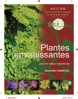 Plantes Envahissantes Pour Les Milieux Naturels De Nouvelle-Calédonie