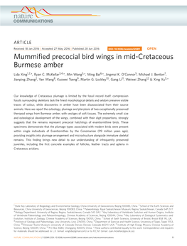 Mummified Precocial Bird Wings in Mid-Cretaceous