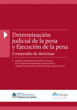 Determinación Judicial De La Pena Y Ejecución De La Pena Compendio De Doctrinas