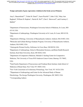 Tempo and Mode of Gene Expression Evolution in the Brain Across Primates
